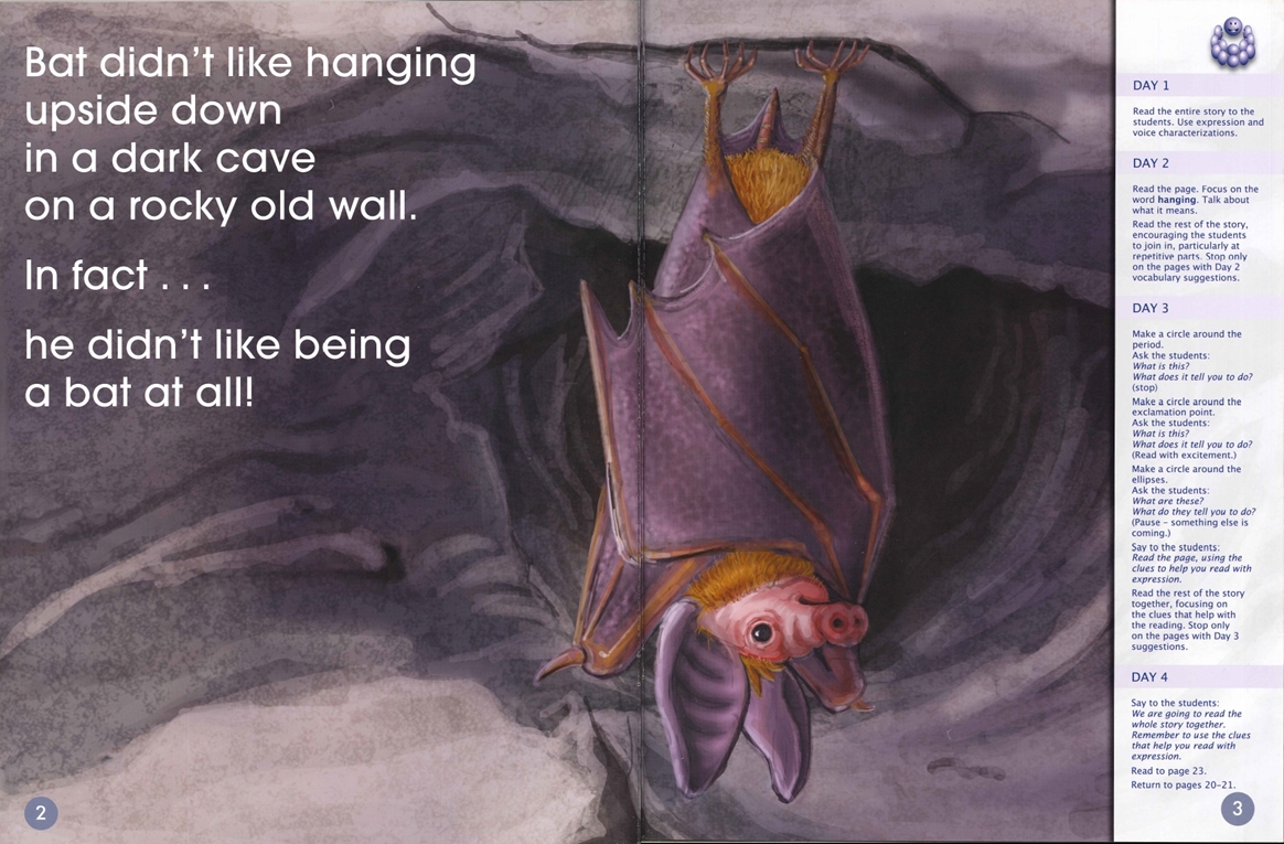 A Bat Is a Bat