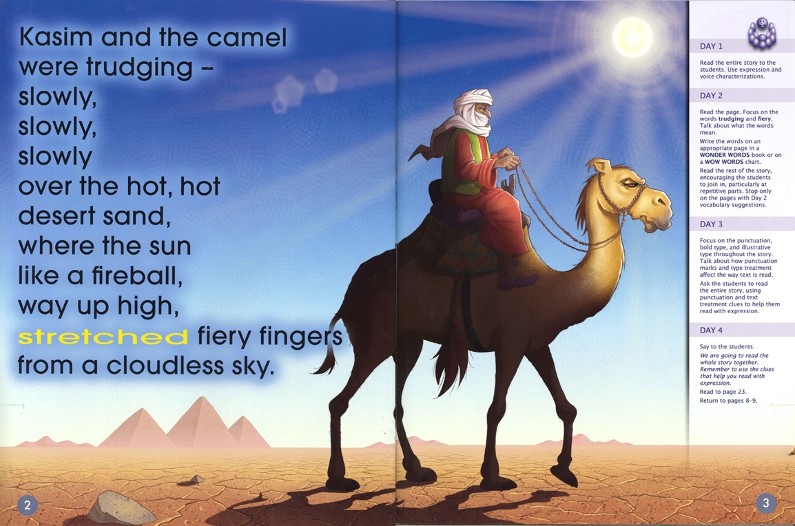 The Cantankerous Camel