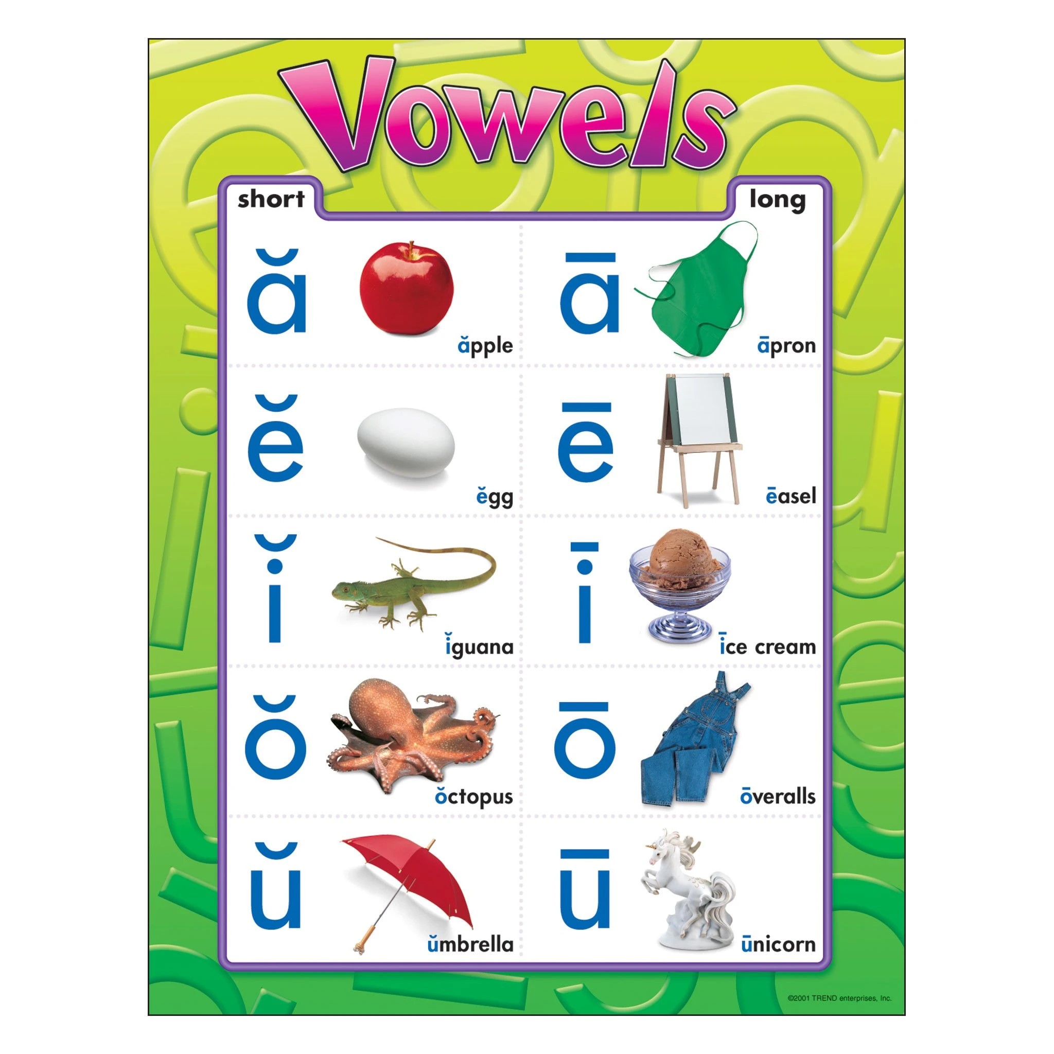 English Chart: T38032 Vowels Learning Chart, 17